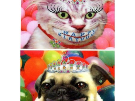 Happy Birthday Smiling Cat & Dog - COMBO 2 Humorous Animated Flip Lenticular Postcards- NEW Online Sale